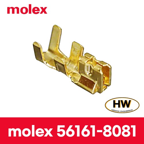 MOLEX 터미널 56161-8081 (100EA)